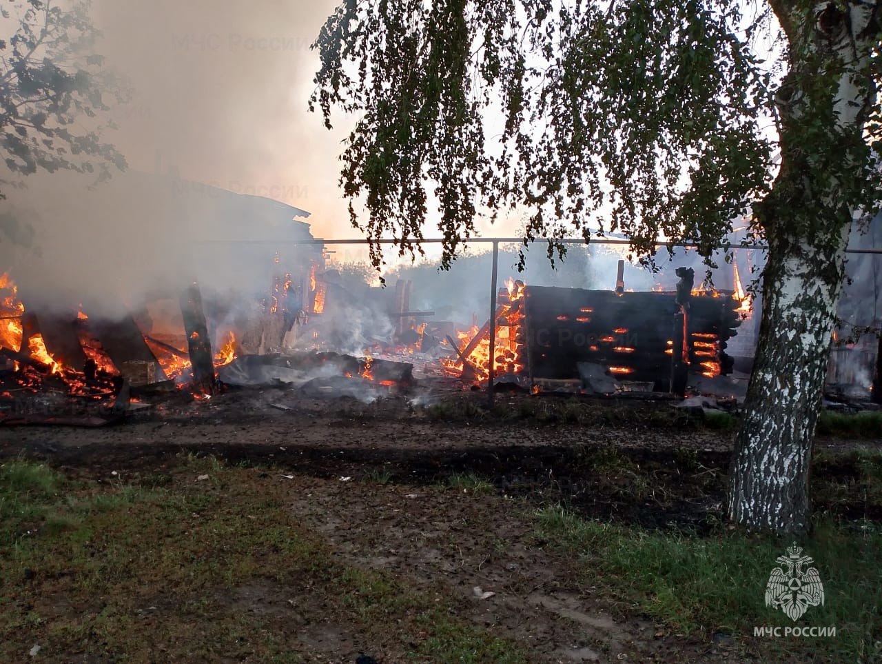 В Алатыре пожар уничтожил баню, заброшенное здание и крышу жилого дома |  30.05.2024 | Чебоксары - БезФормата